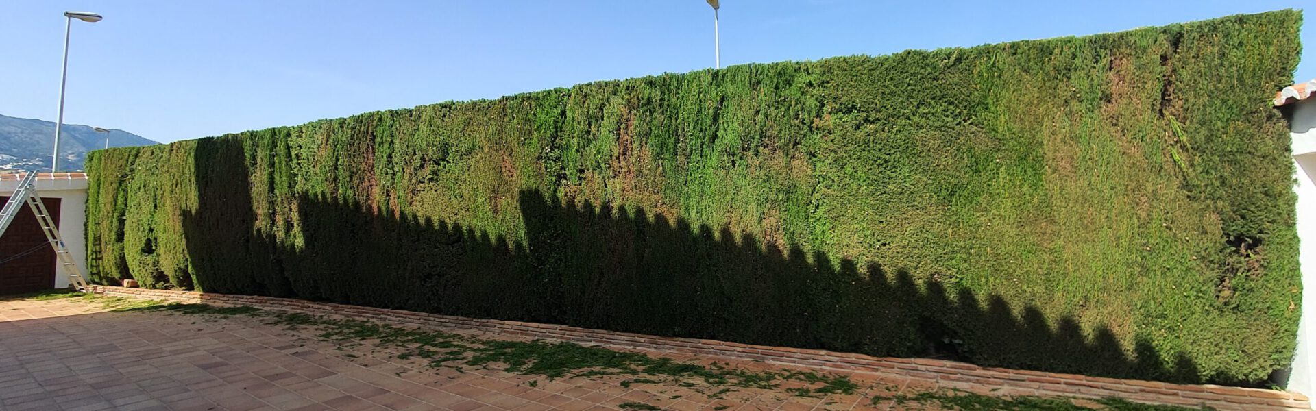 Jardinería Florisol